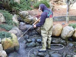 Rochester (NY) spring pond maintenance & opening service for koi fish ponds