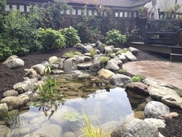 Get on Our Schedule For Pond Cleaning & Maintenance Services In Rochester & Western New York (NY)