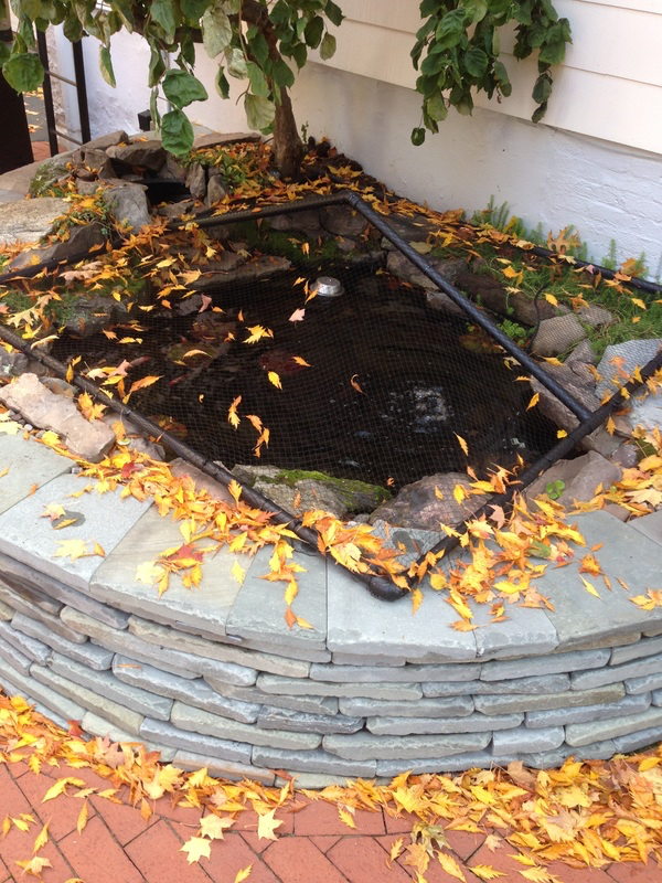 How Do I Keep The Leaves Out Of My Fish Pond in Rochester (NY) or near me?