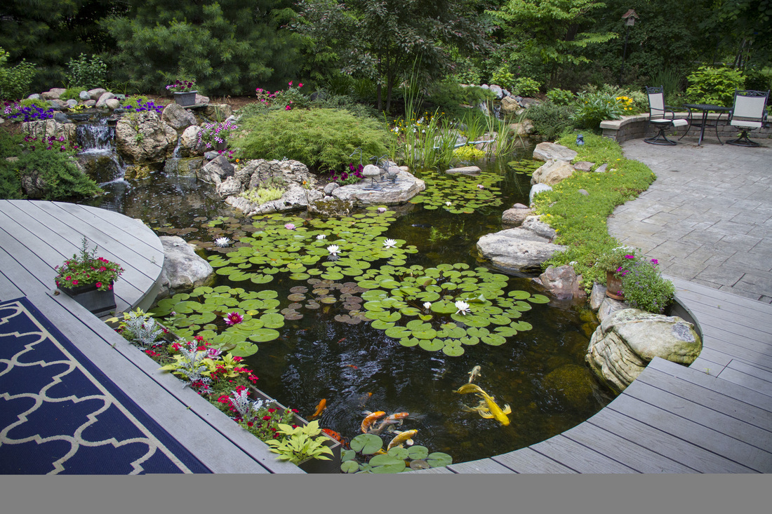 Check Out These Great Water Feature Ideas In Rochester NY!