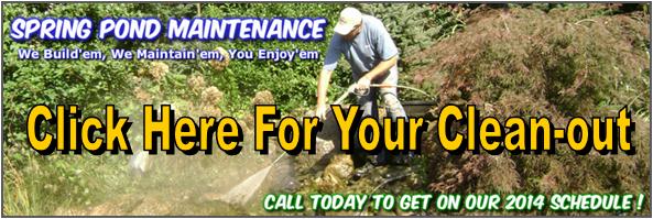 Rochester, Henrietta, Irondequoit,Greece,Chili, & Mendon (NY) Pond Cleaning By Acorn Ponds & Waterfalls. Pond Cleaning Image