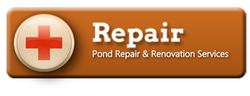 Do you have a backyard pond or water feature in need of repair in Rochester New York (NY) ? 